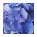 Suche nach hydrangea blume fliesen Pflanze