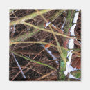 Suche nach blizzarde magnete Schnee