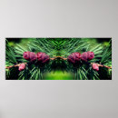 Suche nach pine cone poster Baum