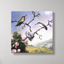 Suche nach kolibris leinwandbilder Vögel