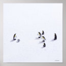 Suche nach kleiner pinguin poster Vögel