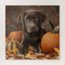 Suche nach schokoladen labrador puzzle Für alle