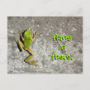 Suche nach froschpostkarte Froschkarte