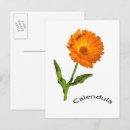 Suche nach ringelblume postkarten Für alle