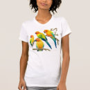 Suche nach conure Nanday