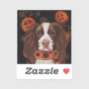 Suche nach englischer springer spaniel aufkleber Spaniels