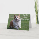Suche nach corgi karten Pembroke schweißkorgi