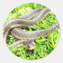 Suche nach blaue augen aufkleber Für kinder