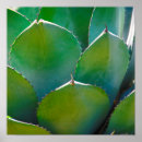 Suche nach plant poster Green