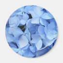 Suche nach hydrangeas magnete Blau