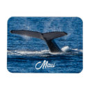 Suche nach wal schwanz magnete Walfang