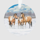 Suche nach schnalle ornamente Winter