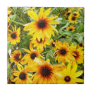 Suche nach blut fliesen Für sie/ihn