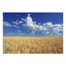 Suche nach rice poster Bauernhof