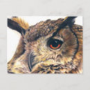 Suche nach adlereule Vögel