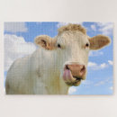 Suche nach kuh puzzle Jede person