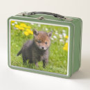 Suche nach niedlicher fuchs brotdosen Jedes kind