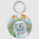 Suche nach malteser accessoires Hund