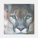 Suche nach zoo magnete Tier