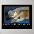 Suche nach liebe und freundschaft poster Katze