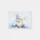 Suche nach teddybär post it Jede person