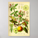 Suche nach vintage kitchen poster Food