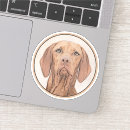 Suche nach vizsla hund aufkleber Für alle