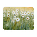 Suche nach der frühling magnete Gänseblümchen