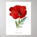 Suche nach oriental poster Natur