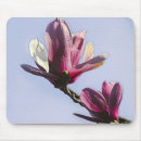 Suche nach rosa magnolien mousepads Vintag
