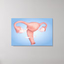 Suche nach menschliche organe leinwandbilder Anatomie