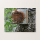 Suche nach nagetier puzzle Für alle