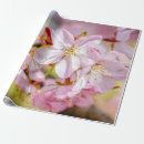 Suche nach haufen geschenkpapier Rosa