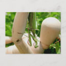 Suche nach mantises postkarten Für alle