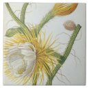 Suche nach pre 19th fliesen Ehret