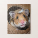 Suche nach hamster puzzle Maus