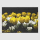 Suche nach tulpen seidenpapier Für alle