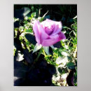 Suche nach lavendel poster Jede person