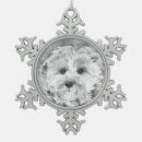 Suche nach cavapoo ornamente Welpe
