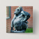 Suche nach lustiger gorilla buttons Gorillas