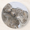 Suche nach wolf untersetzer Natur