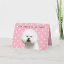 Suche nach bichon karten Hund