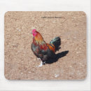 Suche nach hähne mousepads Natur