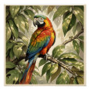 Suche nach wilde vögel poster Natur