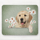 Suche nach goldene punkte mousepads Jede person