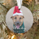 Suche nach personalisierte hunde ornamente Welpe