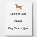 Suche nach jagd fotoplatten Hund