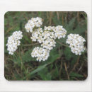 Suche nach weiße wildblumen mousepads Hübsch