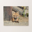 Suche nach säugetiere puzzle Tierwelt