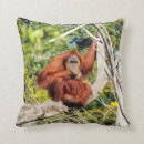 Suche nach orang utan kissen Affe